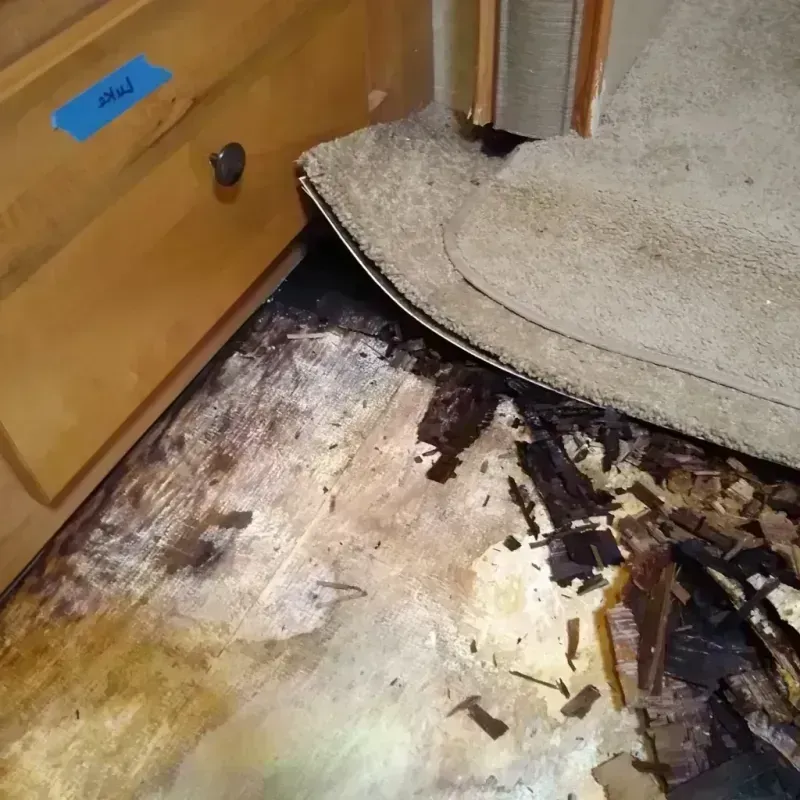 Best Wood Floor Water Damage Service in Attica, IN